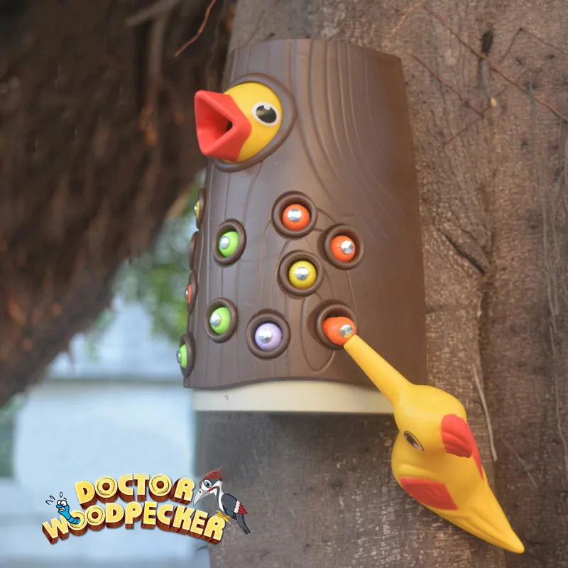 Conjunto de brinquedos magnéticos para crianças,Pica-pau com